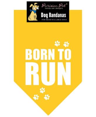 Parisian Pet Born to Run Dog Bandana