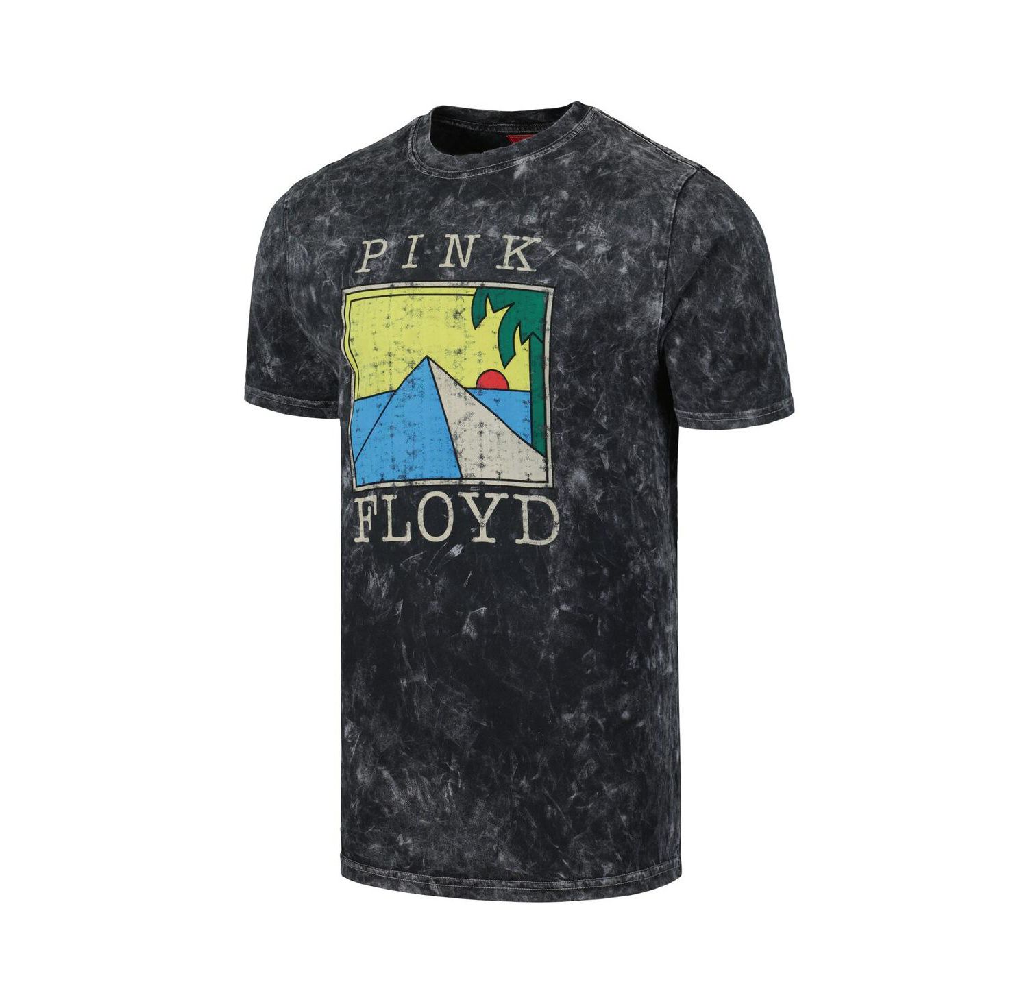 Men's and Women's Black Pink Floyd Mineral T-Shirt