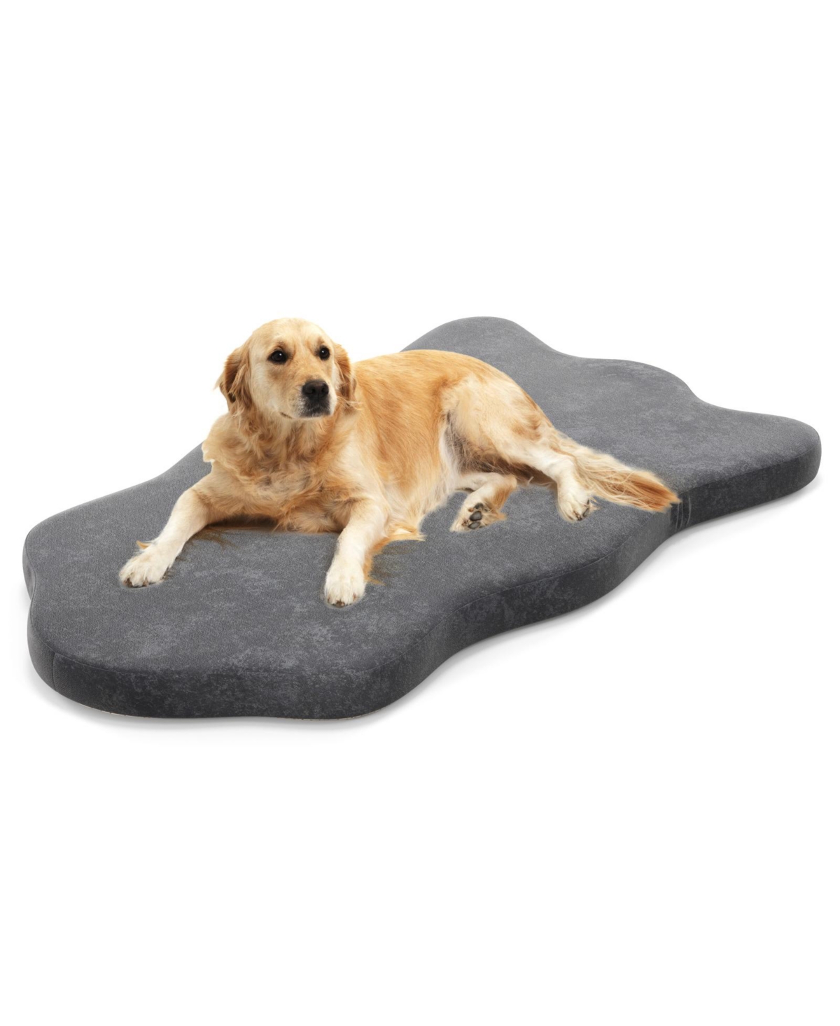 Orthopedic Dog Bed with Memory Foam Support for Large Dogs - Grey