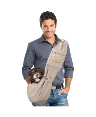 Furry Fido