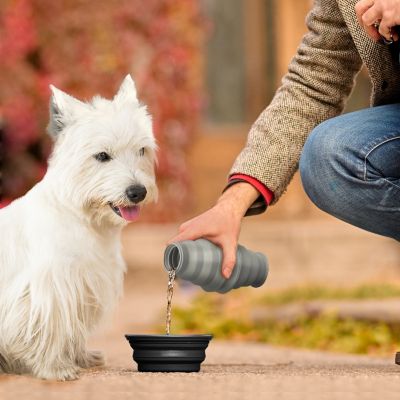 Feed N Sip 2-in-1 Collapsible Dog Bowl and Water Bottle, Portable Pet Feeding Solution for Travel