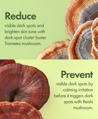 Mega-Mushroom Dark Spot Brightening Moisturizer