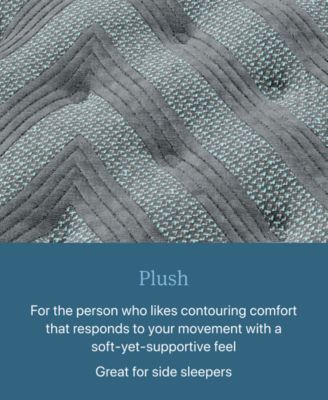 Level One 13.75" Plush Tight Top Mattress Set - Queen