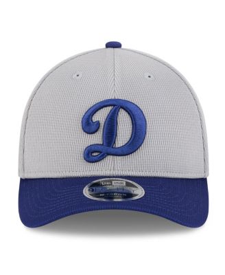 Men's Gray/Royal Los Angeles Dodgers 2025 Batting Practice 9FORTY M-Crown Adjustable Hat