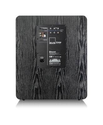 PB-2000 Pro 12" Ported Subwoofer (Premium Black Ash)