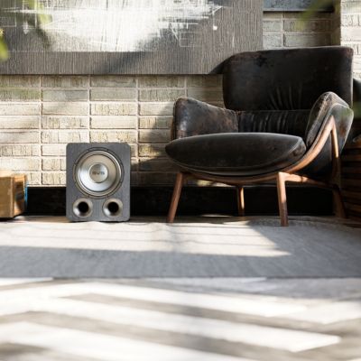 PB-1000 Pro Ported Subwoofer (Premium Black Ash)