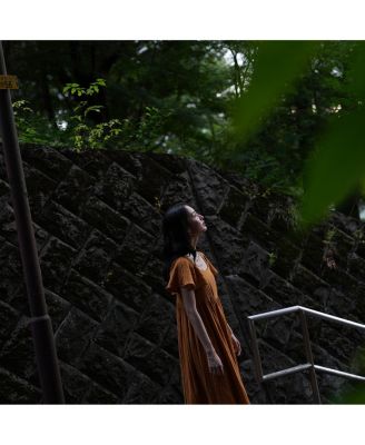 FE 28-70mm f/2 GM Lens