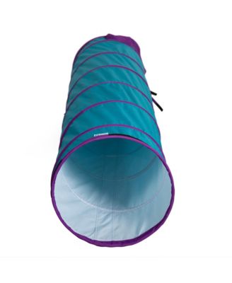 Institutional Tunnel - Teal/Purple