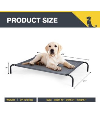 Elevated Pet Bed for Medium Large Dogs
