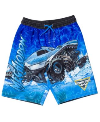 Boys Pullover Rash Guard and Swim Trunks Outfit Set