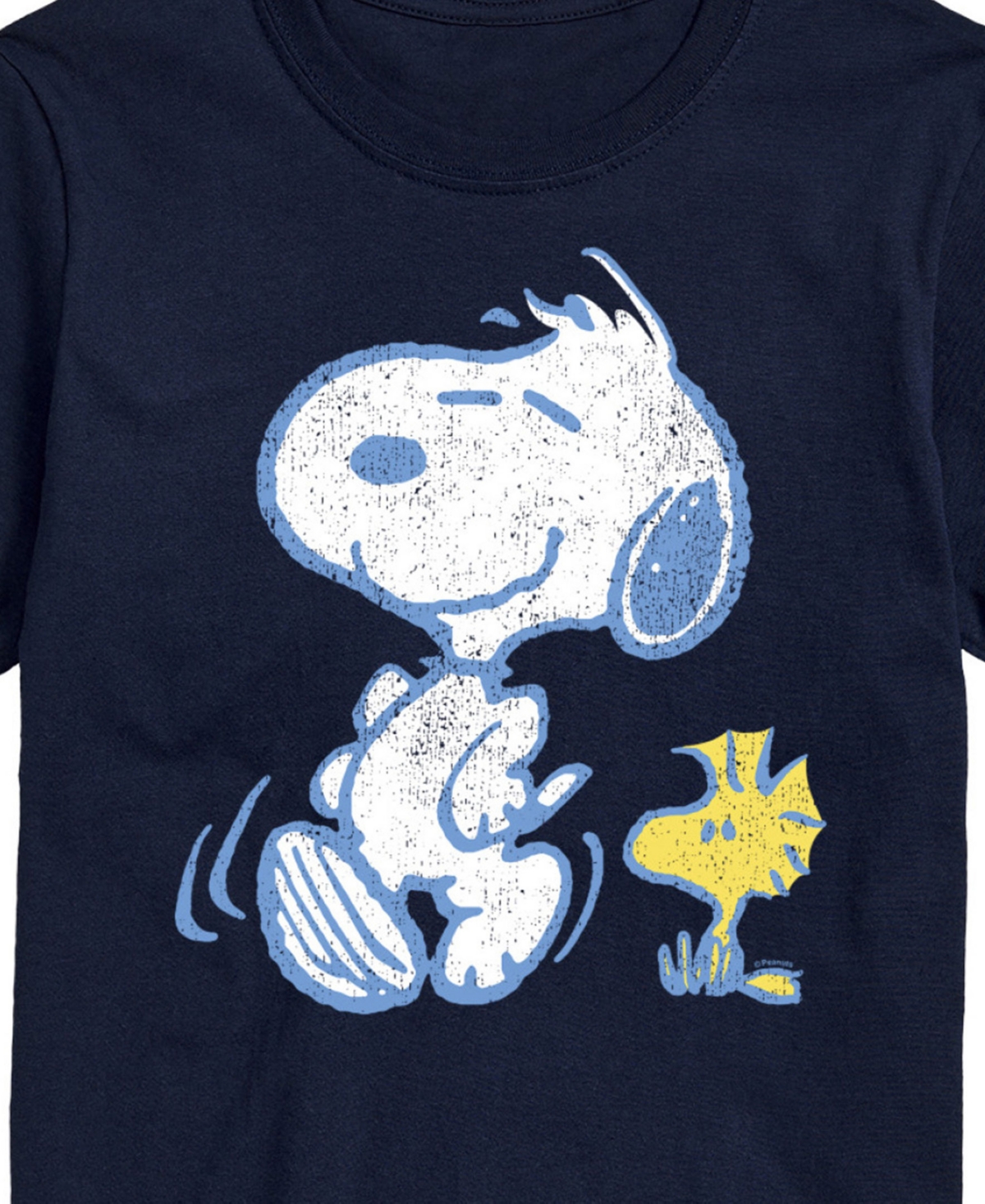 Airwaves Men's Peanuts Snoopy Woodstock Short Sleeve T-shirt In Blue