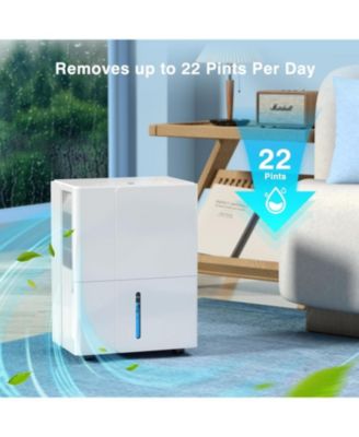 25-Pint Dehumidifier for Home & Bedrooms, 2000 Sq. Ft. Coverage, 1.2Gal Water Tank, Smart Controls & Timer for Medium Rooms