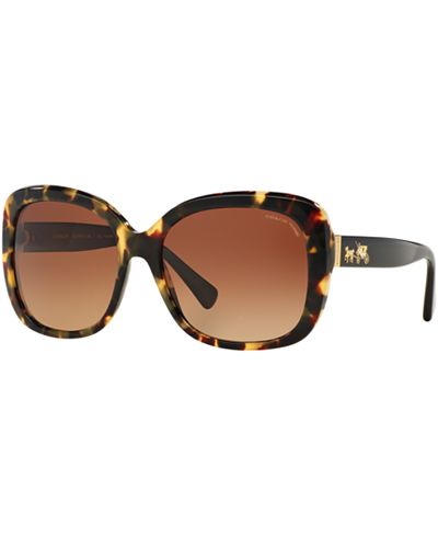 Coach Sunglasses, HC8158