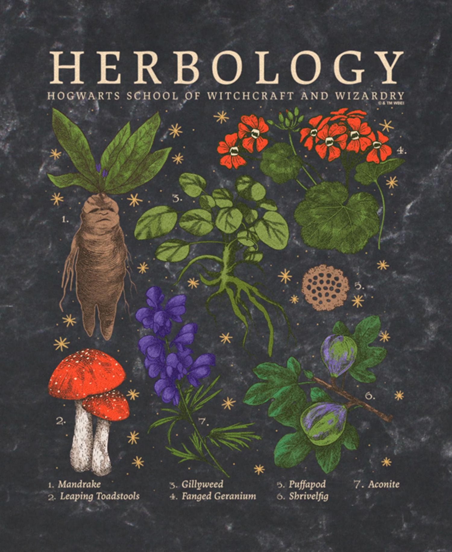 Men's Herbology Short Sleeve T-Shirt