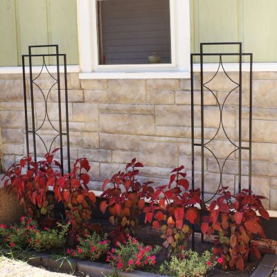 Decorative Steel Metal Chic Diamonds Design Garden Trellis - Black - 2-Pack