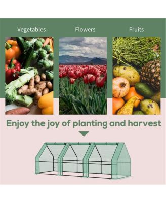 Mini Greenhouse for Garden Compact Indoor-Outdoor Plant Growing Solution