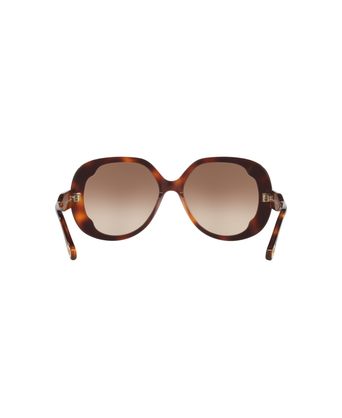 Chloé Oversized Round Sunglasses In Tortoise