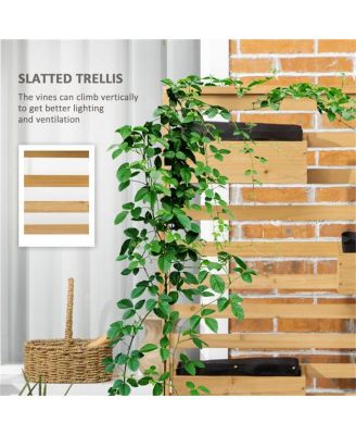 Elevated Wooden Planter Shelf with Detachable Trellis Stand