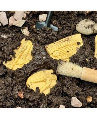 Dig & Discover Dinosaur Tactile Skeletons - Set of 6