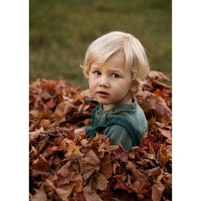 56mm F1.4 DC DN Lens Canon RF