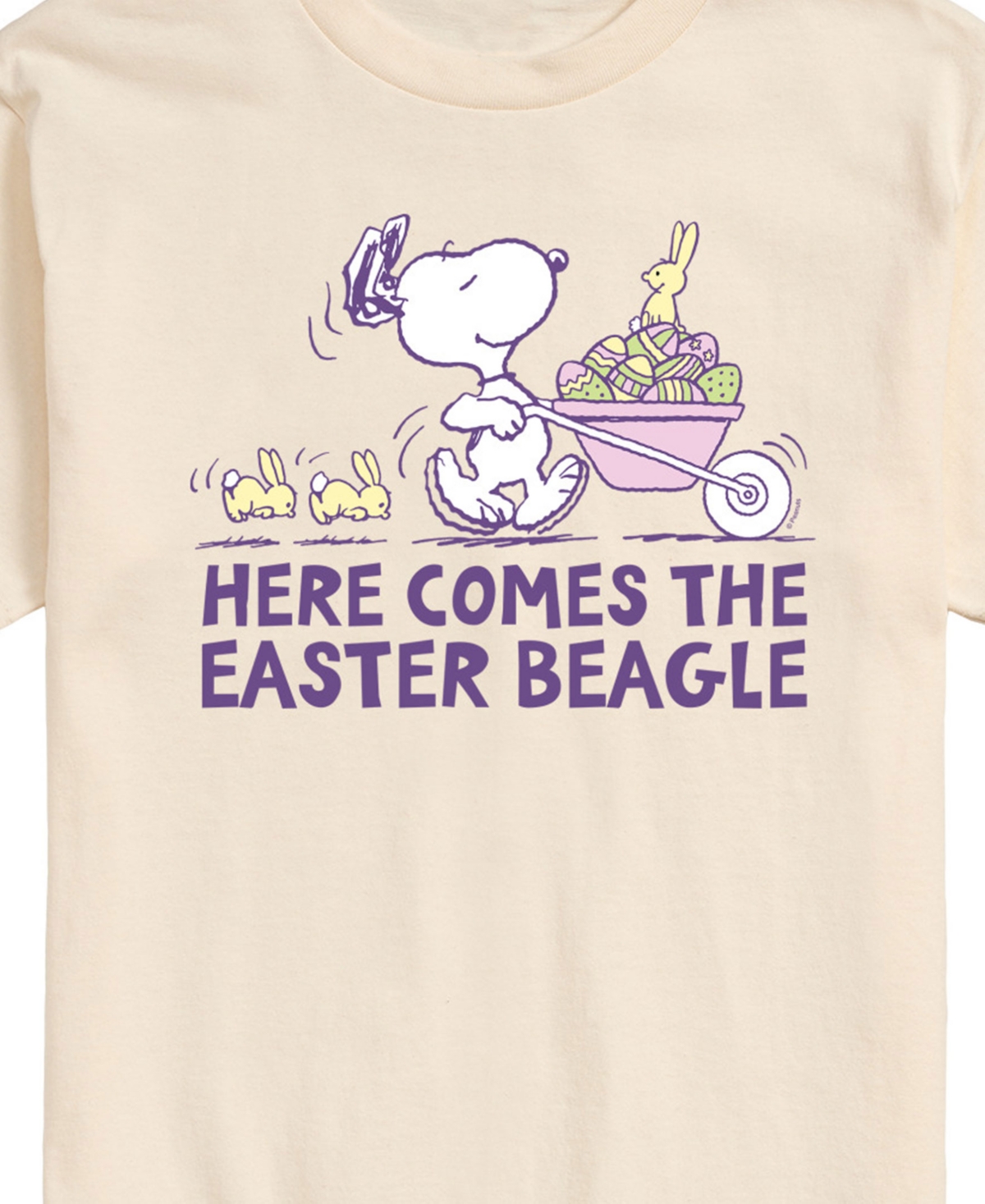 Airwaves Men's Peanuts Snoopy Here Comes The Easter Beagle Short Sleeve T-shirt In Beige,khaki