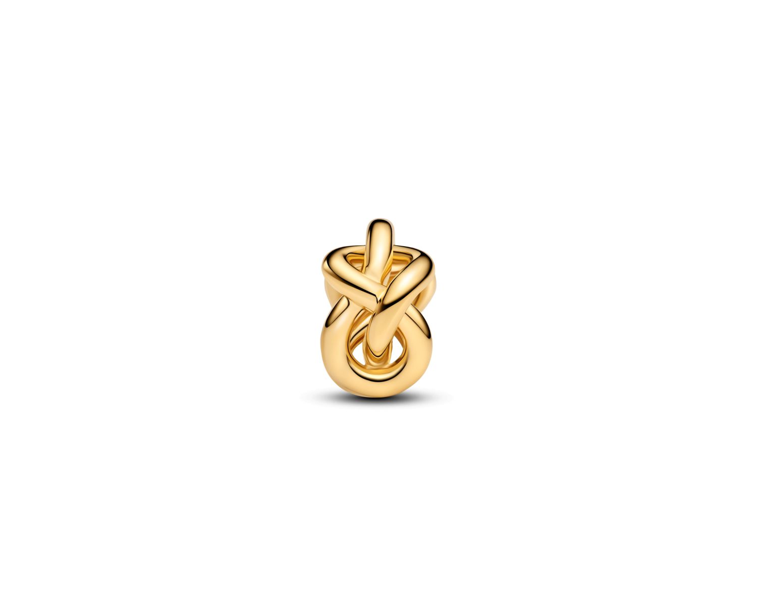 Infinity Knot Charms