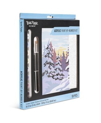 Acrylic Paint-By-Number Kit - Winter Wonderland