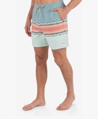 Men's Phantom Naturals Cannonball 17 Boardshorts