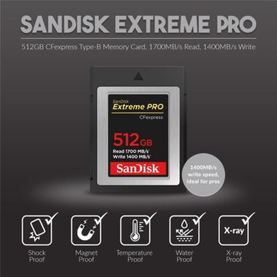 Z9 Mirrorless Camera with FTZ II Mount Adapter, Bundle with 512GB Memory Card, Battery, Tripod and Cleaning Kit