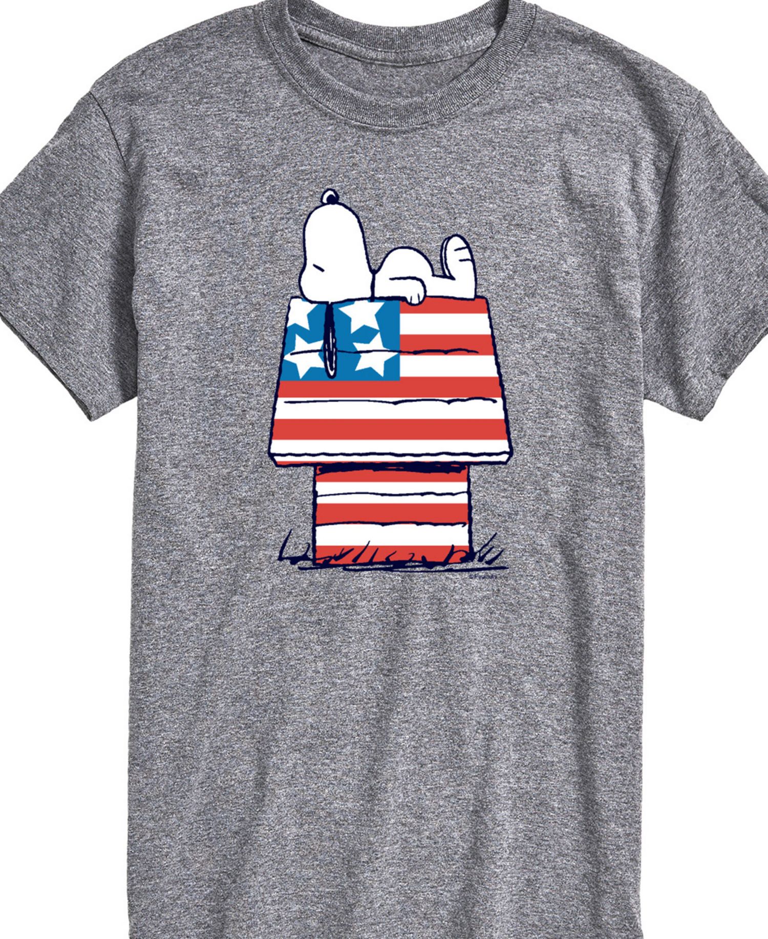 Men's Peanuts Snoopy Flag House Short Sleeve T-Shirt