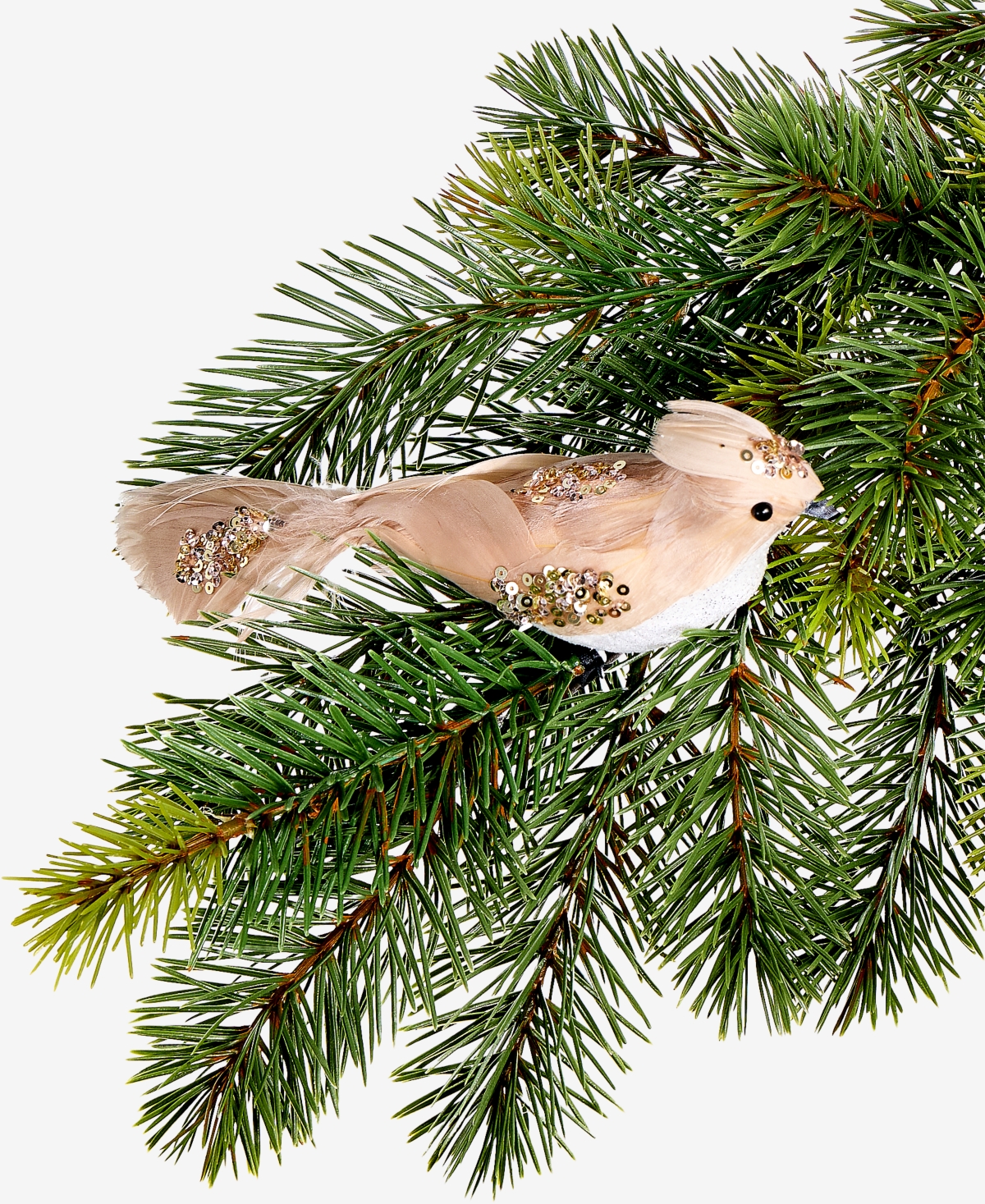 Holiday Lane Gilded Glamour Feather Bird Clip Ornament, Macy's Exclusive In Multi