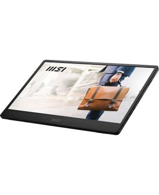 Pro MP161 E2 15.6" 16:9 Full HD Portable IPS LED Monitor, Metal Gray