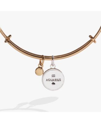 Zodiac Bangle Bracelet Aquarius