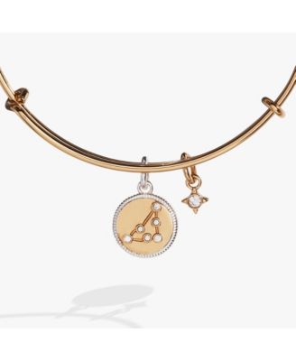 Zodiac Bangle Bracelet Capricorn