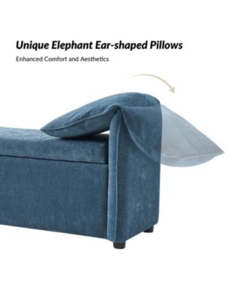 Alberto Modern Storage Bench with Ample Storage Space