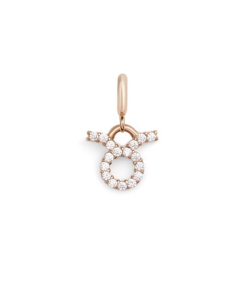 Женские часы Daniel Wellington Rose Gold Tone Stainless-Steel Watch Charm