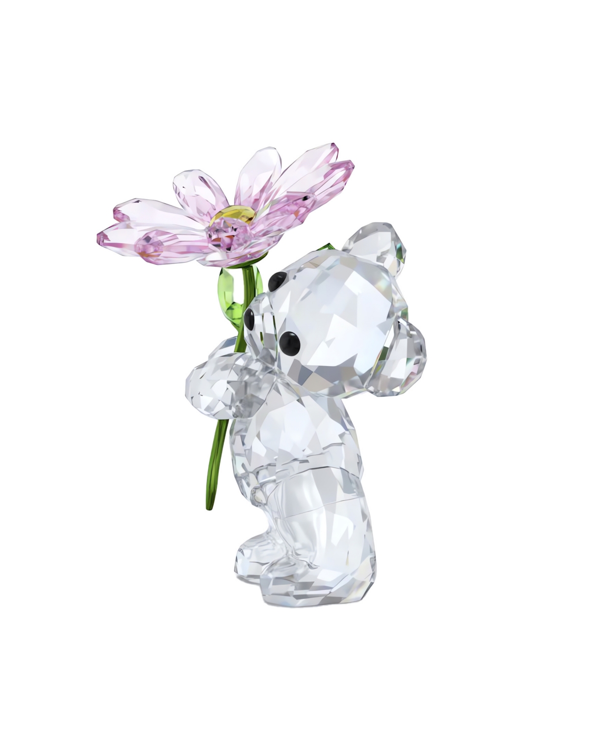 Shop Swarovski Kris Bear A Daisy For You Figurine