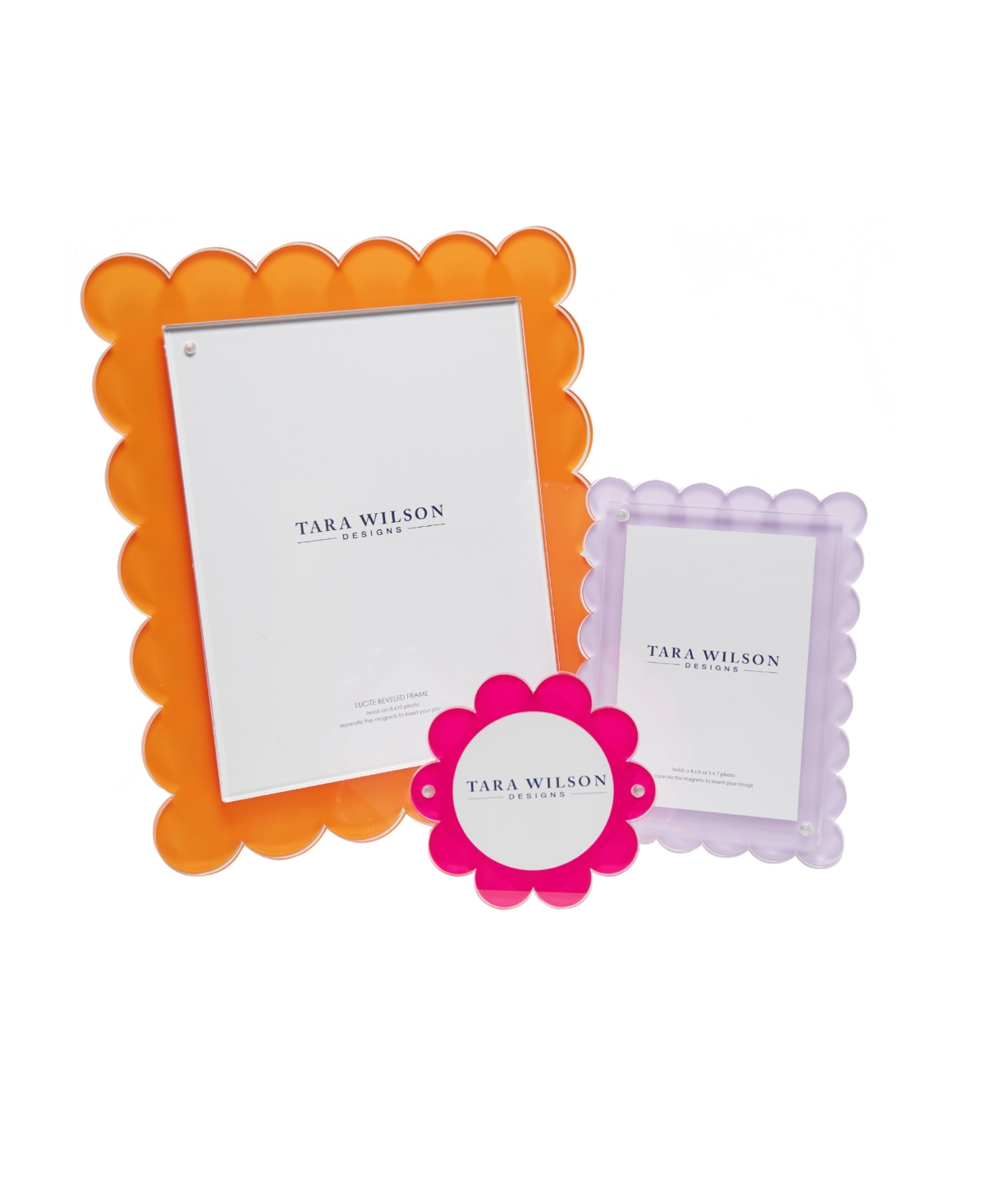 Tara Wilson Designs Daisy Frame, 4" X 4"