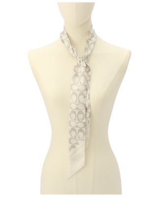 Textured Signature Print Silk Skinny Scarf
