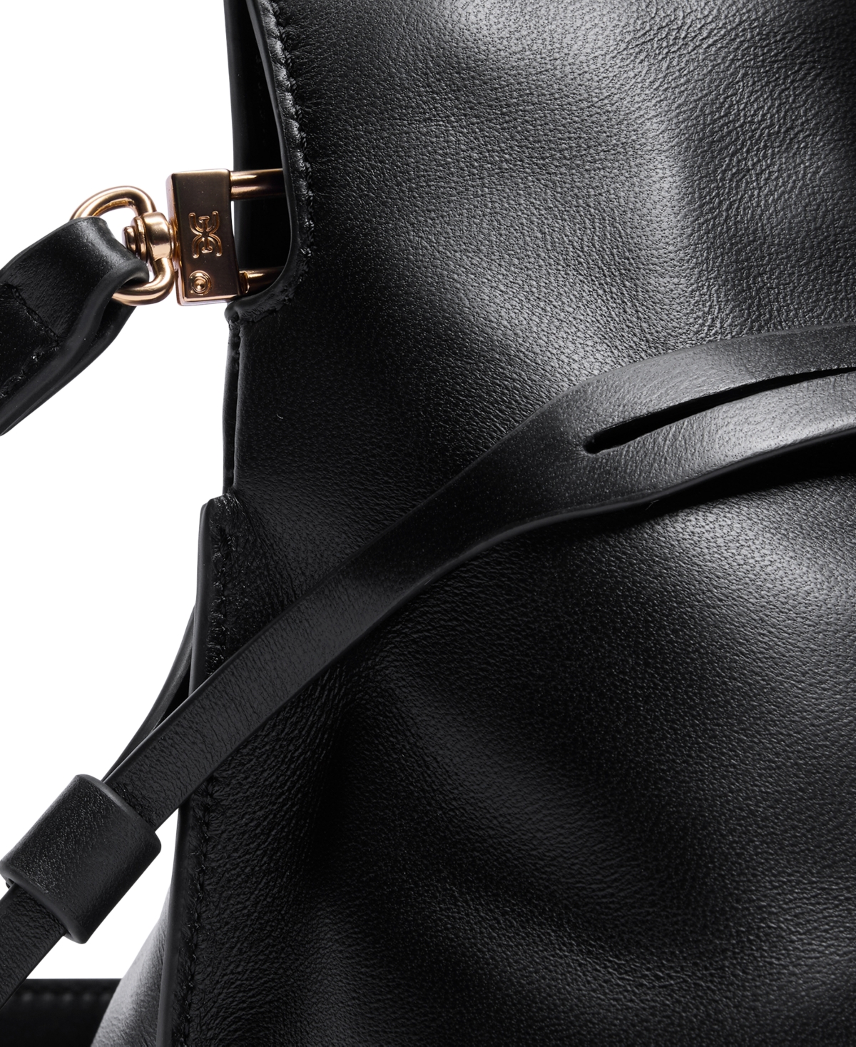 Sam Edelman Poppy Small Leather Drawstring Crossbody In Black
