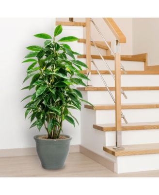 UV- and Frost-Resistant Ceramic Flower Pot Planter with Drainage Holes