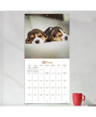 2026 Dog Dreams Wall Calendar