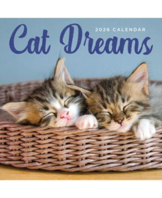 2026 Cat Dreams Wall Calendar