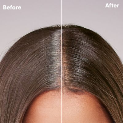 Root Touch-Up Kit for Resistant Grays