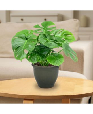 Studio Outdoor/Indoor High-Fired Glazed UV- and Frost-Resistant Ceramic Planters with Drainage Holes