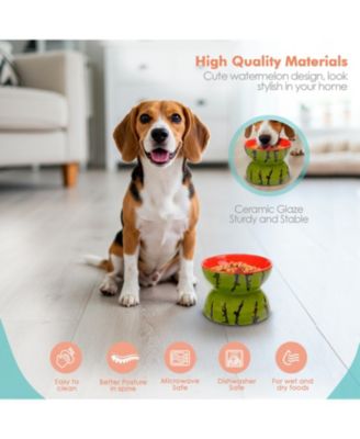 Watermelon Shaped Stoneware Elevated Pet Bowl, Raised Ceramic Food & Water Dish for Dogs and Cats