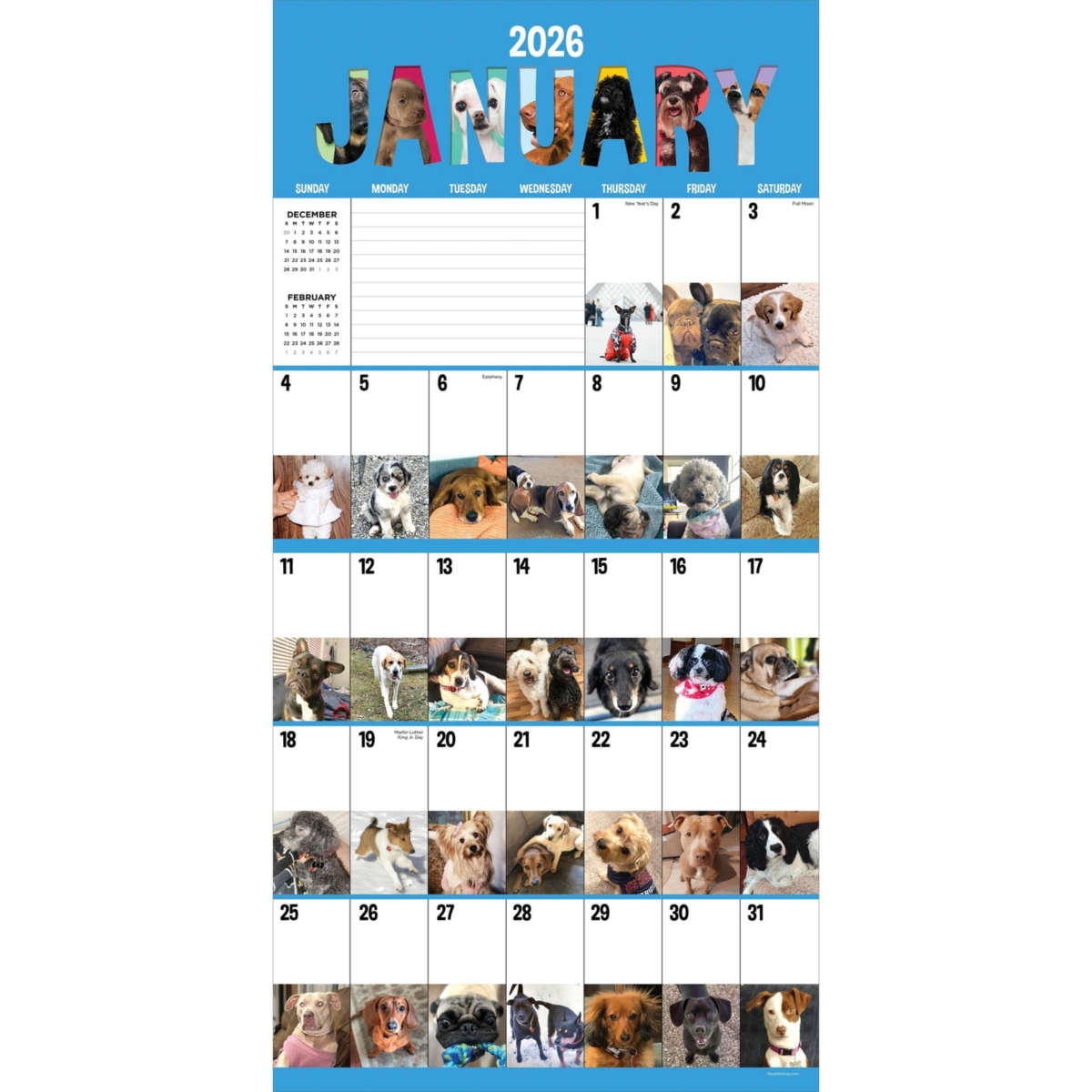 2026 Dog-a-Day Wall Calendar - Multicolor