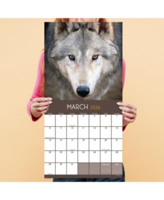 2026 Wolves Wall Calendar