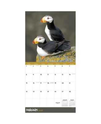 2026 Wild Wall Calendar