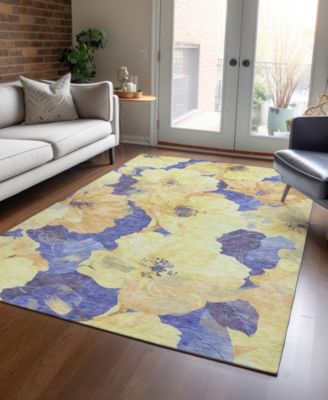 Chantille Machine Washable ACN1548 5'x7'6" Area Rug